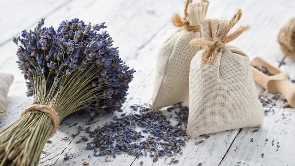A bunch of lavender on a white table, next to two small hessian bags.